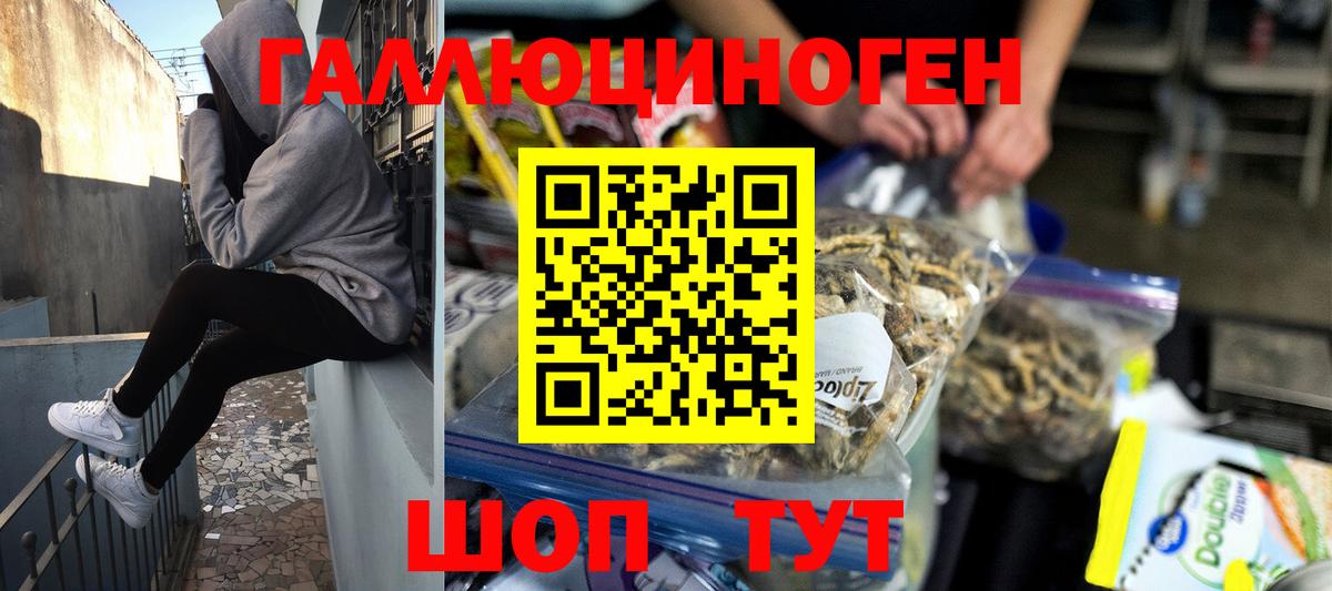 Моздок  Псилоцибиновые грибы Magic Shrooms  Вход с VPN 