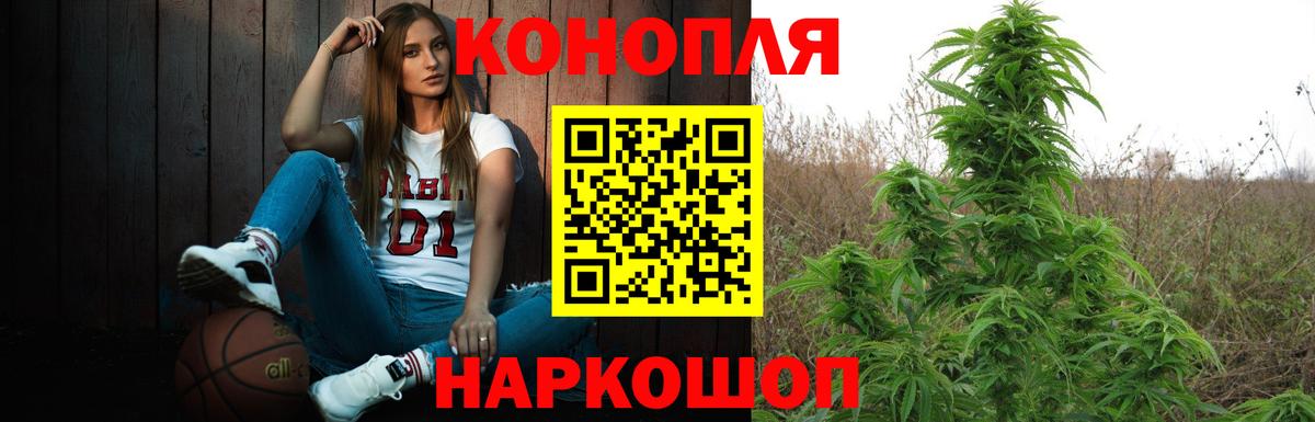 Марихуана семена Моздок